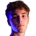 Luka Vicelich