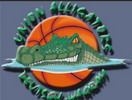 Deutsch Wagram Alligators
