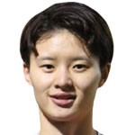 Han Huimin