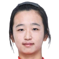 Liu Wenli