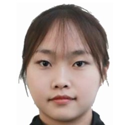 Cai Jing