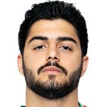 Erfan Darvishaali