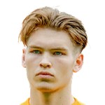 Joël van den Berg