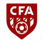 Henan Experimental Middle School U17