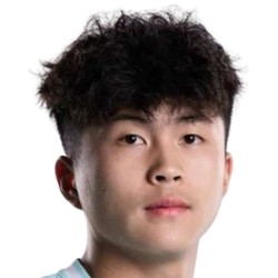 Luo Wenqi