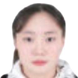 Luo Haijia