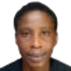 M. Ibrahim