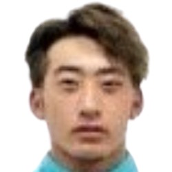 Wang Yihong