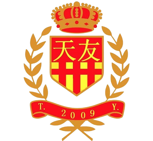 天友足球队