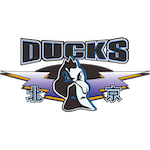 Beijing Ducks