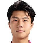 Wang Yanhan