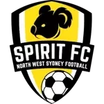 GHFA Spirit
