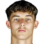 Niko Horvat