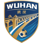 Wuhan Team