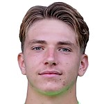 Dominik Samardzija