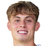 Haye van Gemert