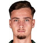 Ilija Despotovic