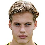 Joël van der Wilt